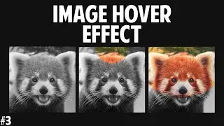 CSS Creative Image Hover Effect | Drop Color Effect | Tutorial #3