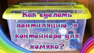 Как сделать вентиляцию в контейнере для хомяка? | Контейнер для хомяка