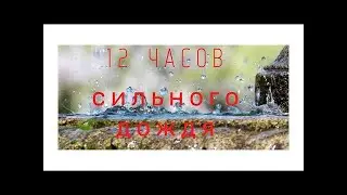 Крепкий сон/Звук сильного Дождя за окном. Ливень. Дождь для здорового сна, учебы, раздумий Шум дождя