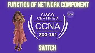 CCNA-06:Explain Function of Network Component Switch.