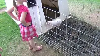 Oregon Dairy 2013 - Vysotsky Family Part 2