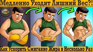 МЕДЛЕННО ХУДЕЕШЬ?! Как ускорить СЖИГАНИЕ ЖИРА в несколько раз?!