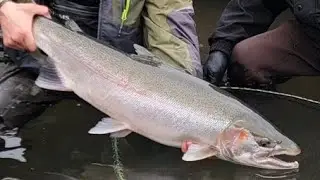 The 5% Extra | Tips and tricks to catch more steelhead!