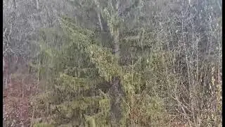 Na Koroškem že sneži