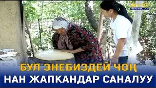 НООКАТ РАЙОНУ//КОЖО-АРЫК АЙЫЛЫНА САЯКАТ