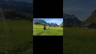 Флейта   Красивая мелодия