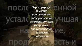 Звуки природы: звуки воды, звуки реки, звуки дождя, звуки птиц для максимального расслабления 88 Гц