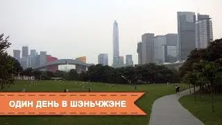 Один день в Шэньчжэне