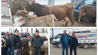 Кыргызстон Учкун мол бозори нархлари яна узимга 5 та олдим