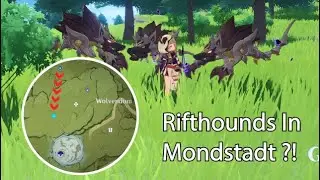 Rifthounds wolf in Mondstadt Location | Genshin Impact 2.4 Ver