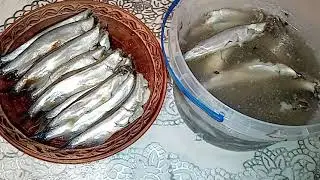 МАРИНОВАННАЯ МОЙВА - ВКУСНЕЕ АНЧОУСОВ . Готовим просто