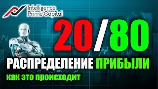 80на20   чистая прибыль в INTELLIGENCE PRIME CAPITAL