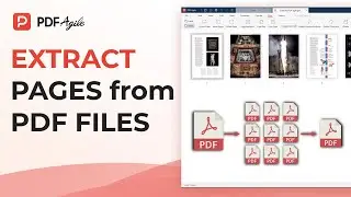 How to Take Specific Pages From a PDF(2022）