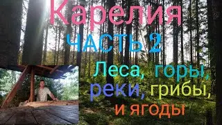 Карелия. Часть 2. Природа Карелии. Грибы, ягоды, леса, озера, реки и горы.