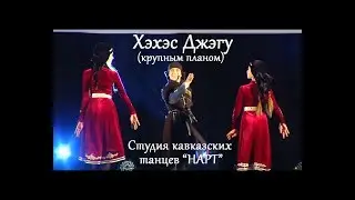 Хэхэс Джэгу - профессиональная съемка крупным планом (