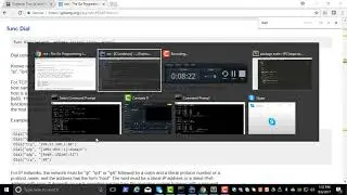 Golang for Pentesters - Scan IP and Port