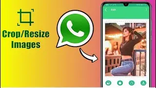 How to Crop Picture from WhatsApp on Android & iPhone