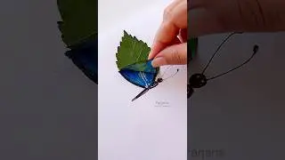 ￼Butterfly painting with Leaf🍃 