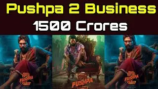 Pushpa2 The Rule Movie Pre Release Business - Allu Arjun - Pushpa 2