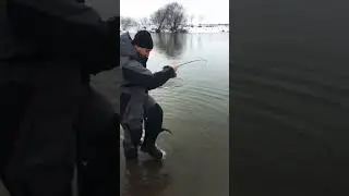 Щука на ультралайт￼ 🎣