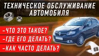 Тех. обслуживание автомобиля (ТО). Что это? Когда и где делать? Чем отличается от тех.осмотра?