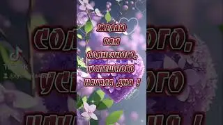 Доброе утро ! С пятницей !🍀🌺🍀🦋💛#доброеутро #пожелания #пожеланиедлядрузей #лето #спятницей