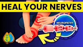 Top 9 Nutrients To Heal Nerve Damage