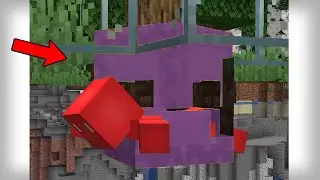 What's Inside a Shulker Box?