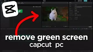 How to remove green screen in capcut pc - full guide