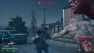 Орда колледж Чемулта Days Gone
