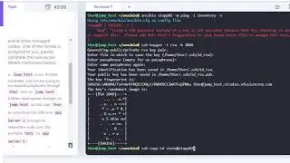 Ansible Ping Module Usage 