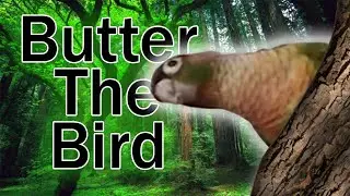 Butter The Bird!