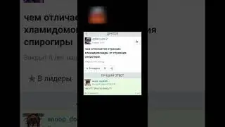 Ответы на майлру как смысл жизни #shorts #shortsvideo #мем #мемы