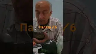 Палата №6