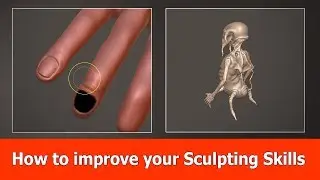 How to Improve your 3D Sculpting Skills