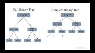 Introduction to Binary Trees by Muhammad Mujtaba and Muhammad Shan