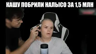КАШУ ПОБРИЛИ НАЛЫСО НА СТРИМЕ