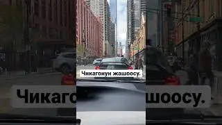 Чикагонун жашоосу.