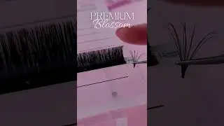 Our Premium Blossom lashes. 🌸 SHOP them now on pinklashes.ro #pinklashes #premiumblossom