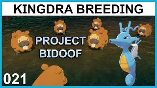 Breeding a Rain Team Kingdra - Project Bidoof Part 21 - Pokemon Breeding Guide