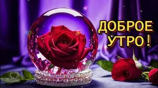 ДОБРОЕ УТРО! 🌹 ЧУДЕСНОГО ДНЯ!🌹ВОТ И КОНЧАЕТСЯ ЯНВАРЬ, 🌹ГОД НАБИРАЕТ ОБОРОТЫ.🌹🌹🌹🌹🌹🌹🌹🌹