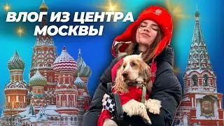 ❄️ВЛОГ ИЗ ЦЕНТРА МОСКВЫ С СОБАКОЙ | НАМ ОЧЕНЬ ПОВЕЗЛО😱