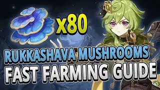 Rukkashava Mushrooms 80 Locations FAST FARMING ROUTE +TIMESTAMPS | Genshin Impact 3.0