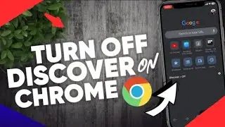 How to Turn Off Google Discover on Android Phones and iPhones