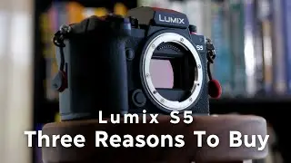 Three Reasons I Bought The Panasonic S5 || W/ Lumix 20-60mm Sample Footage