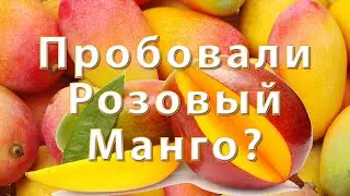 Открыли для себя вкус Розового манго из Вьетнама Муйне - наш новый опыт! / Пробовали розовый манго?