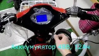 Электровелосипед Elbike Dacha