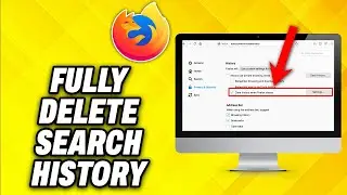 How To Fully Delete Search History In Firefox (2024)