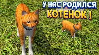 В СЕМЬЕ РОДИЛСЯ КОТЁНОК ( Cat Simulator )