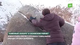 «Каменный зоопарк» в Сосновском районе? Южноуралец уверяет: его находка - времен палеолита